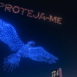 bird drone projection in the sky