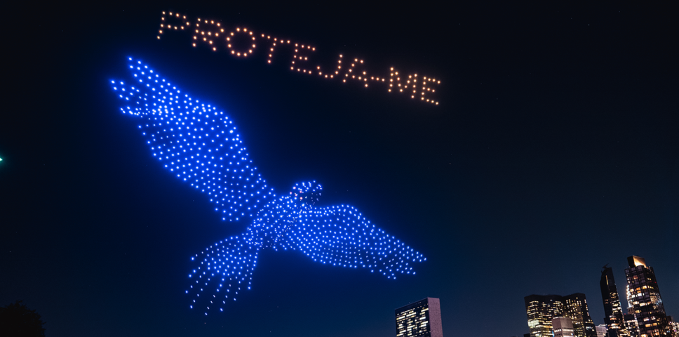 bird drone projection in the sky