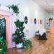 custom shhy beauty displays