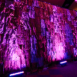 textured backdrop curtain with purple and pink up lighting